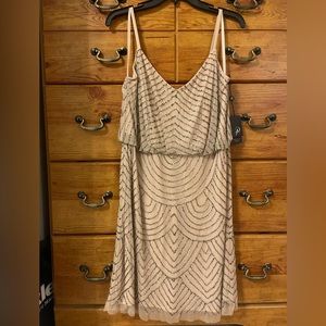 Adriana Papell Beaded Formal Dress